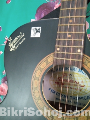 Signeture Guiter Sell